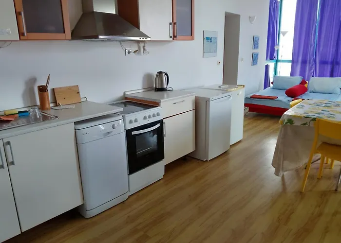 405 Ul Rakovina,entrance E, 4 Floor 公寓 普里莫尔斯科